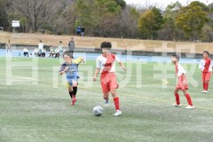 B01DSC_0272