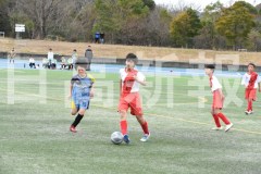 B01DSC_0273