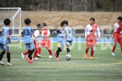 B01DSC_0285