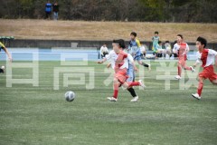 B01DSC_0289