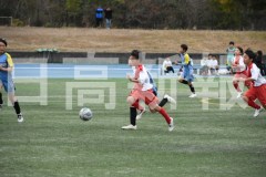 B01DSC_0290