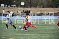 B01DSC_0291