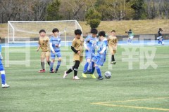 B01DSC_0295