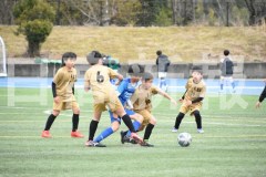 B01DSC_0297