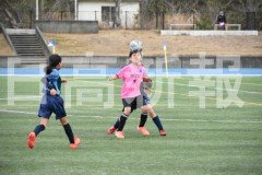B01DSC_0307