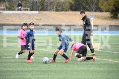 B01DSC_0311