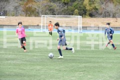 B01DSC_0325