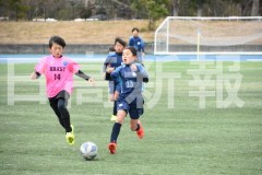 B01DSC_0341