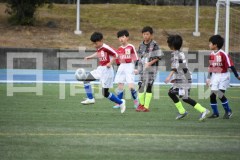 B01DSC_0343