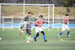 B01DSC_0346