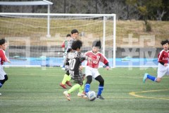 B01DSC_0347