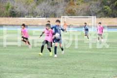 B01DSC_0358