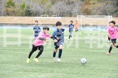 B01DSC_0361