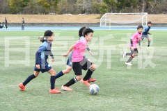 B01DSC_0371