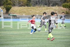 B01DSC_0375
