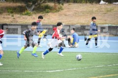 B01DSC_0381