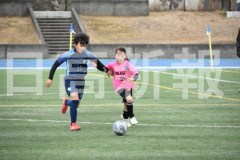 B01DSC_0392