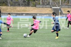 B01DSC_0394