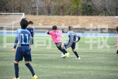 B01DSC_0396