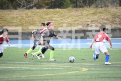 B01DSC_0404