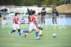 B01DSC_0409