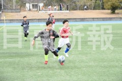 B01DSC_0413