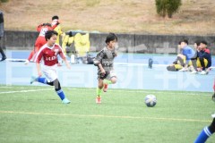 B01DSC_0424