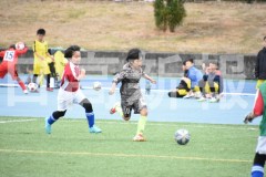 B01DSC_0425
