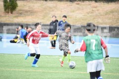 B01DSC_0427