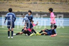 B01DSC_0431