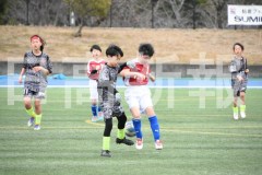 B01DSC_0433