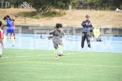 B01DSC_0439