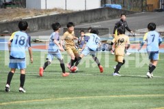B01DSC_0449
