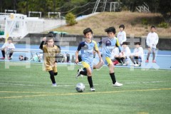 B01DSC_0455