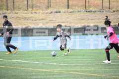 B01DSC_0458