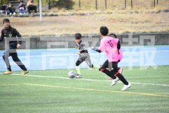 B01DSC_0459