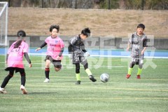 B01DSC_0476