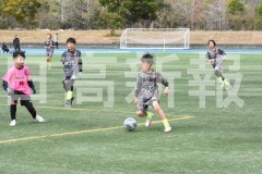 B01DSC_0481