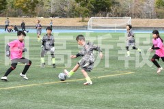 B01DSC_0482