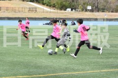 B01DSC_0485