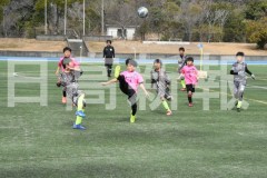 B01DSC_0490