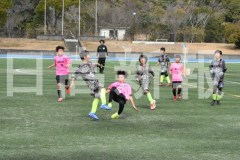 B01DSC_0491