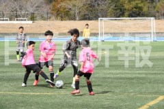 B01DSC_0493