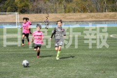 B01DSC_0495