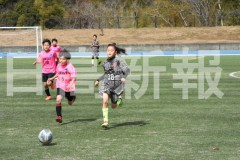 B01DSC_0496