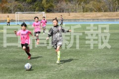 B01DSC_0497