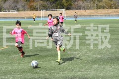 B01DSC_0500