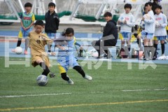 B01DSC_0504