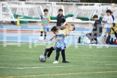 B01DSC_0505