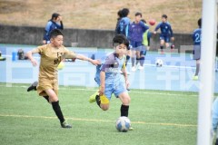 B01DSC_0507